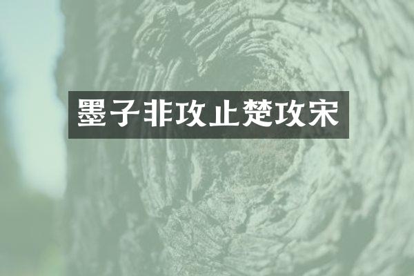 墨子非攻止楚攻宋