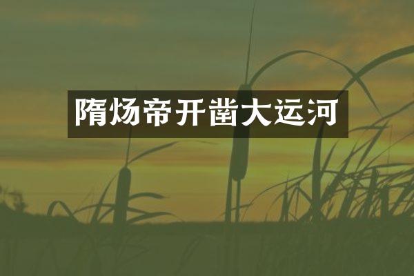隋炀帝开凿大运河