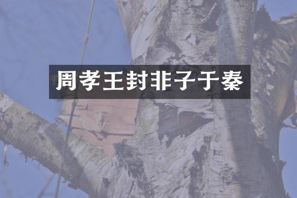 周孝王封非子于秦