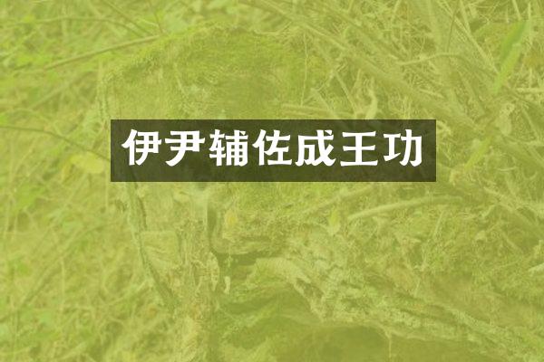 伊尹辅佐成王功