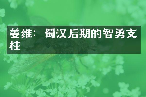姜维：蜀汉后期的智勇支柱