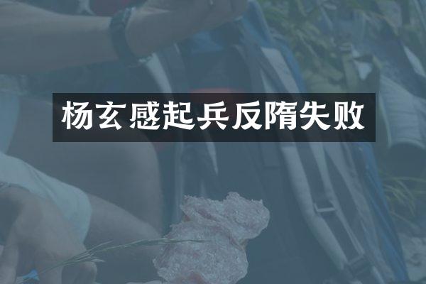 杨玄感起兵反隋失败