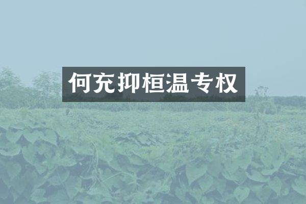 何充抑桓温专权
