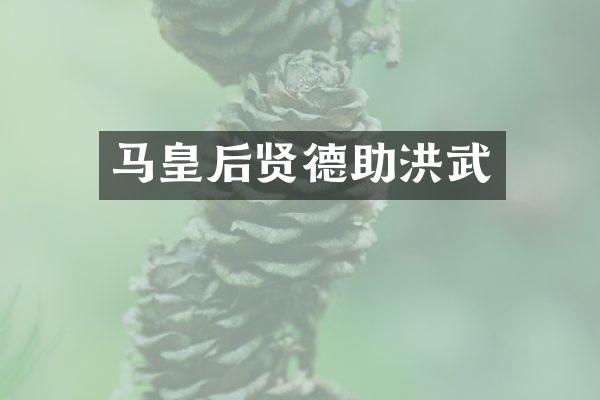 马皇后贤德助洪武