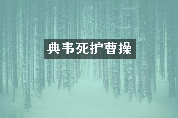 典韦死护曹操