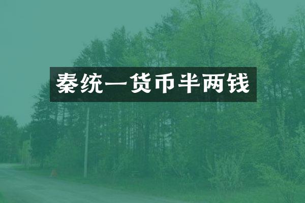 秦统一货币半两钱