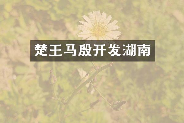 楚王马殷开发湖南