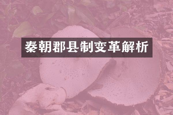 秦朝郡县制变革解析