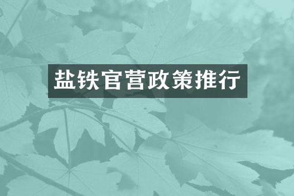 盐铁官营政策推行