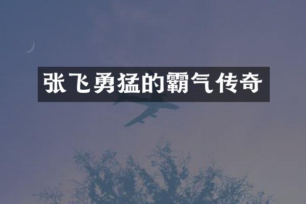 张飞勇猛的霸气传奇