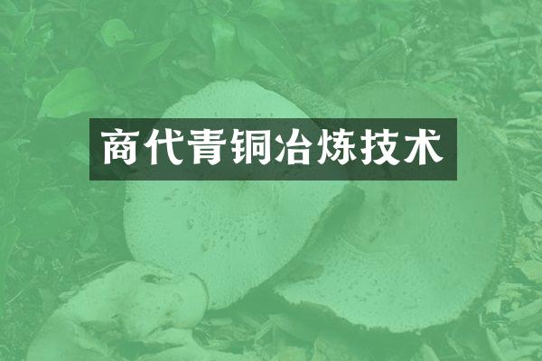 商代青铜冶炼技术