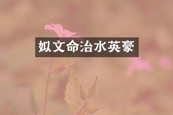 姒文命治水英豪