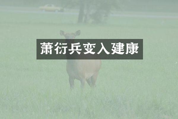 萧衍兵变入建康