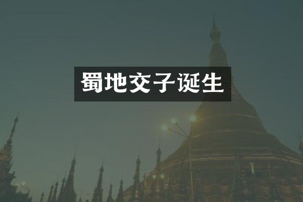 蜀地交子诞生