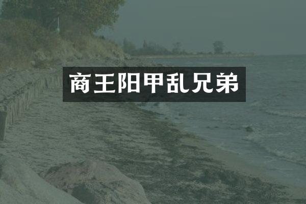 商王阳甲乱兄弟