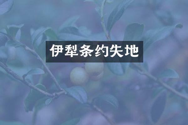 伊犁条约失地