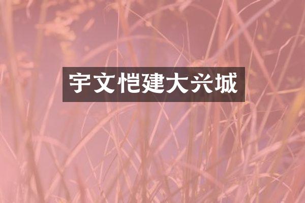 宇文恺建大兴城
