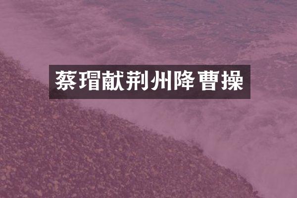 蔡瑁献荆州降曹操