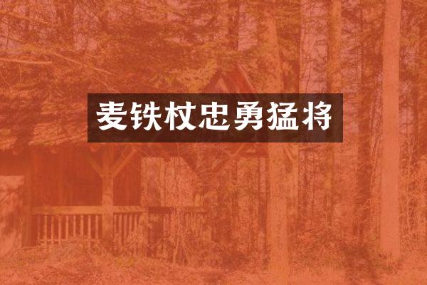 麦铁杖忠勇猛将
