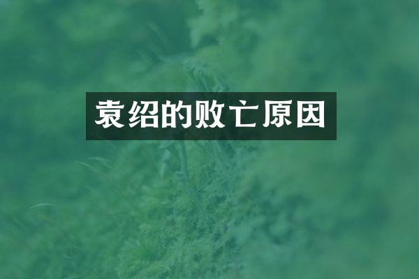 袁绍的败亡原因