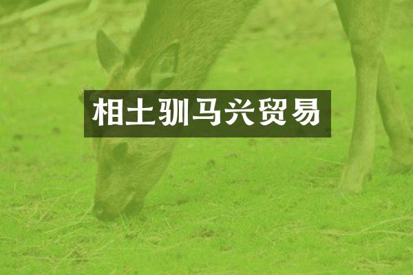 相土驯马兴贸易