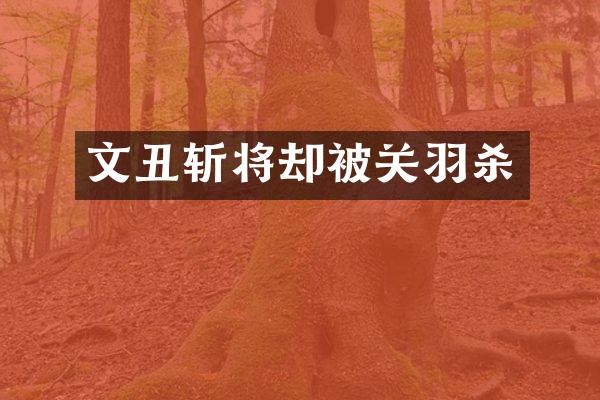 文丑斩将却被关羽杀