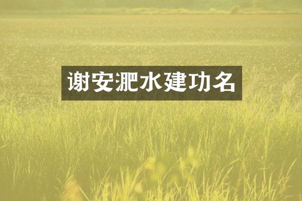 谢安淝水建功名
