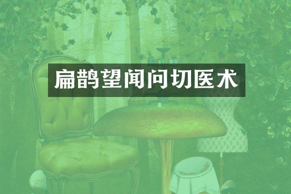扁鹊望闻问切医术