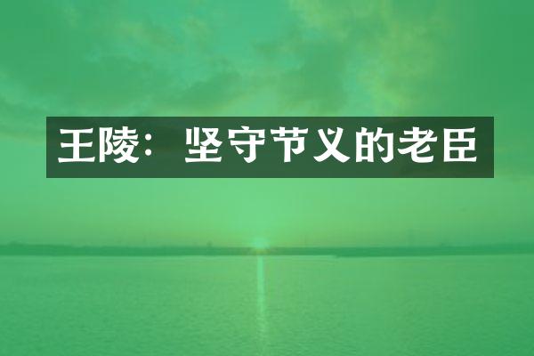 王陵：坚守节义的老臣