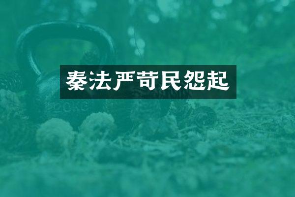 秦法严苛民怨起