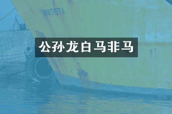 公孙龙白马非马