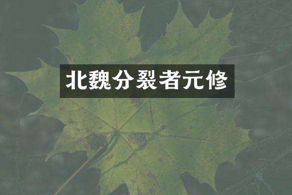 北魏分裂者元修