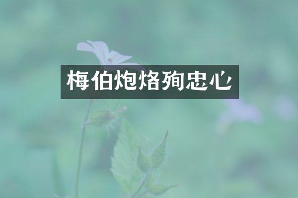 梅伯炮烙殉忠心