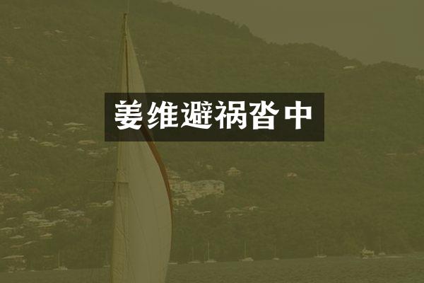 姜维避祸沓中