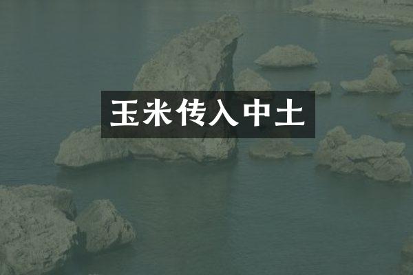 玉米传入中土