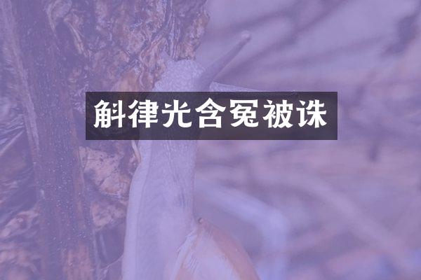 斛律光含冤被诛