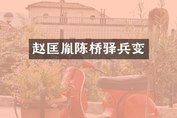 赵匡胤陈桥驿兵变