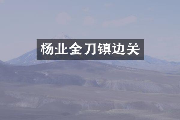 杨业金刀镇边关