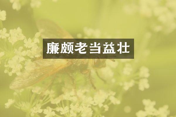 廉颇老当益壮