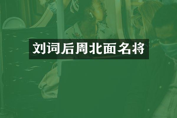 刘词后周北面名将