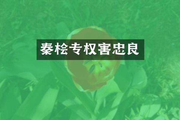秦桧专权害忠良