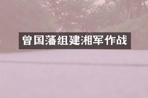 曾国藩组建湘军作战