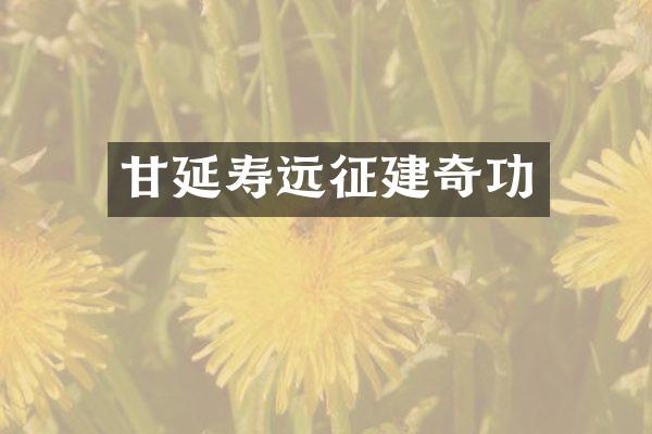 甘延寿远征建奇功