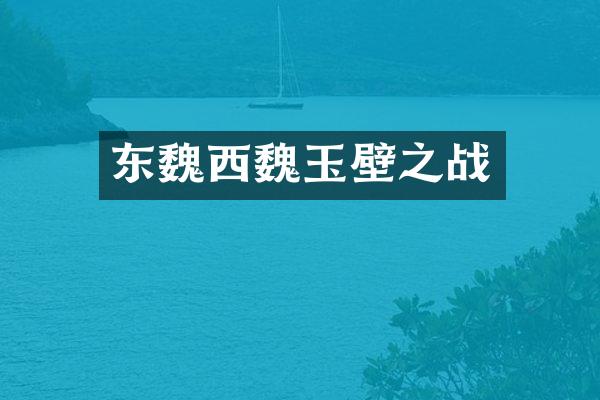 东魏西魏玉壁之战