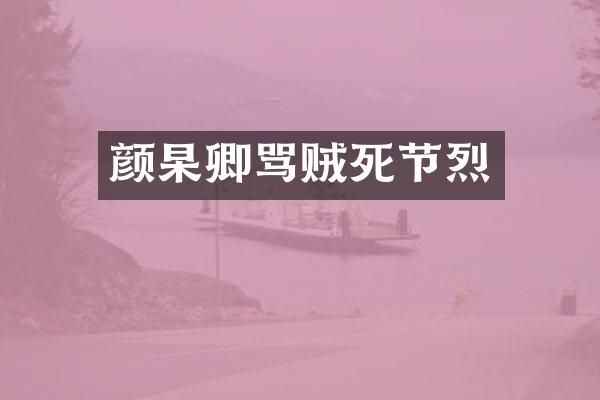 颜杲卿骂贼死节烈