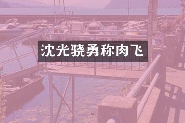 沈光骁勇称肉飞