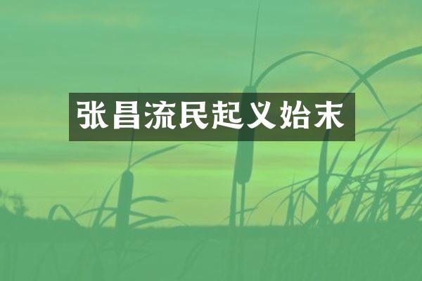 张昌流民起义始末