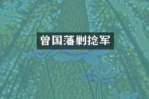 曾国藩剿捻军