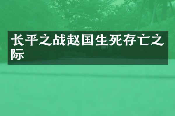 长平之战赵国生死存亡之际