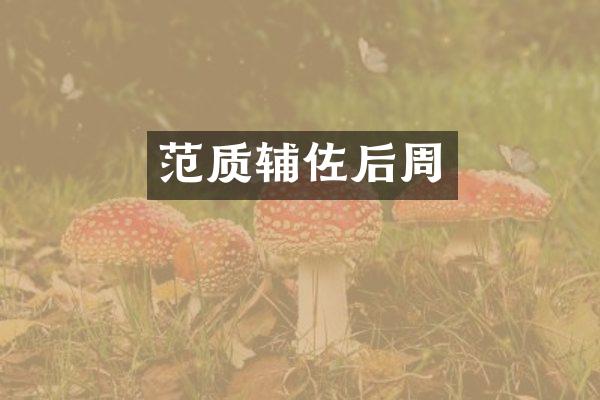 范质辅佐后周